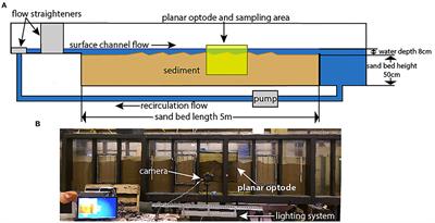 Evaluating a Laboratory Flume Microbiome as a Window Into Natural Riverbed Biogeochemistry